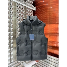 Louis Vuitton Down Jackets